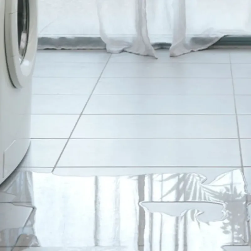 Appliance Leak Cleanup in Inverness, CA