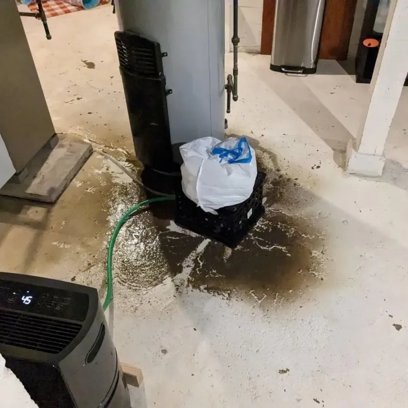 Sewage Backup Cleanup Service in Inverness, CA